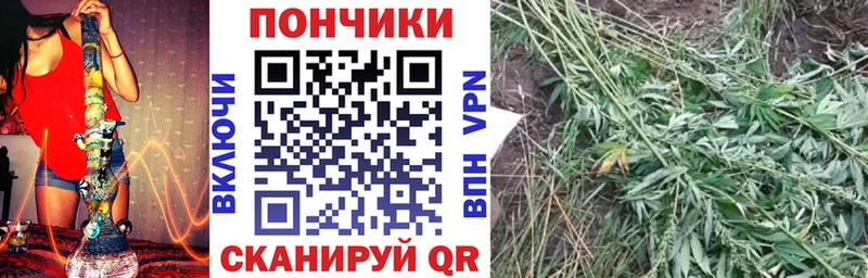 МАРИХУАНА индика  Циолковский 
